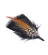 Adornos de plumas para  sombreros/ 12 modelos