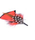 Feather ornament for hat - 12 models