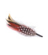 Adornos de plumas para  sombreros/ 12 modelos