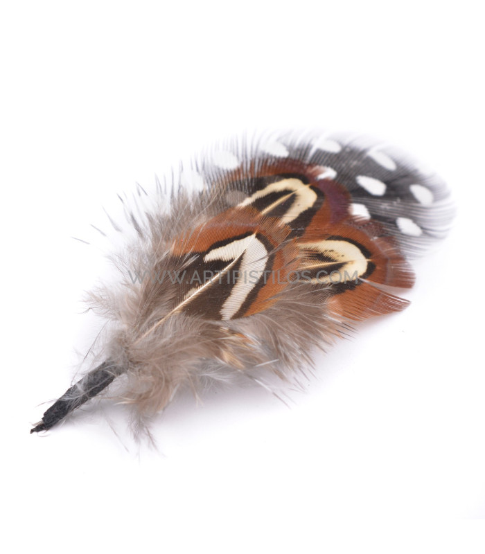 Adornos de plumas para  sombreros/ 12 modelos