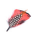 Adornos de plumas para  sombreros/ 12 modelos