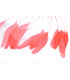 FEATHERS MOUNT 20/25 cm