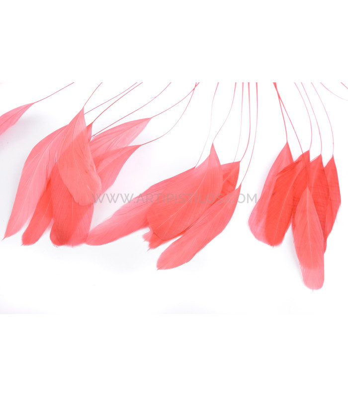 MONTAGEM DE PENAS DE GALO 1ª QUALIDADE