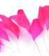 FEATHERS MOUNT 20/25 cm