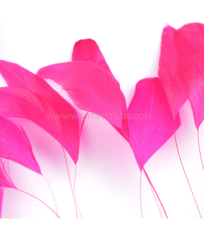 MONTAGEM DE PENAS DE GALO 1ª QUALIDADE