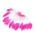 FEATHERS MOUNT 20/25 cm