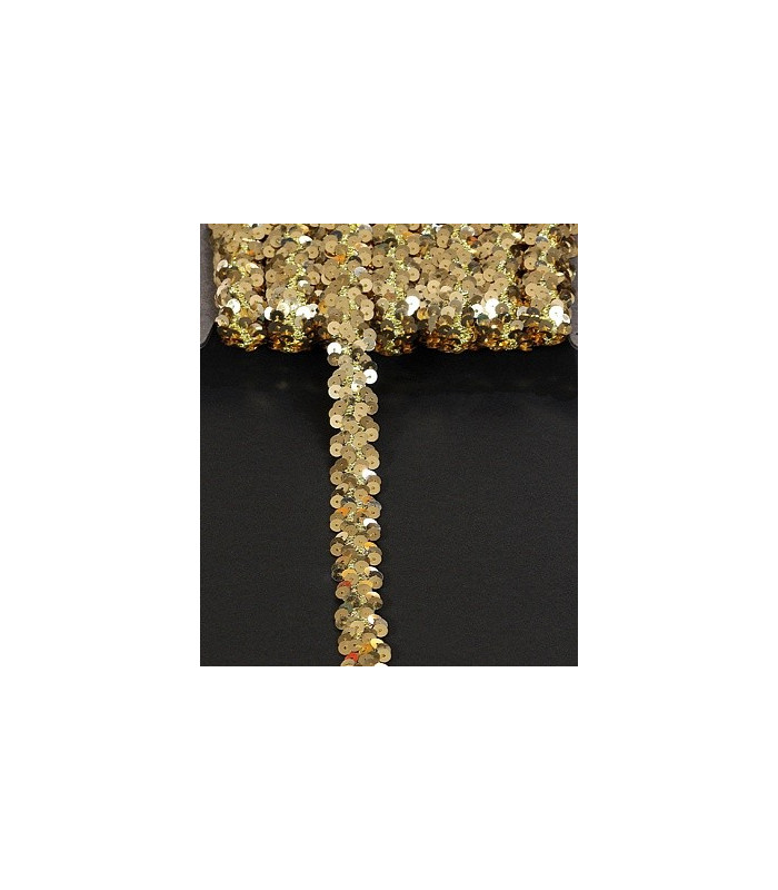 SEQUINS RIBBON BIAS