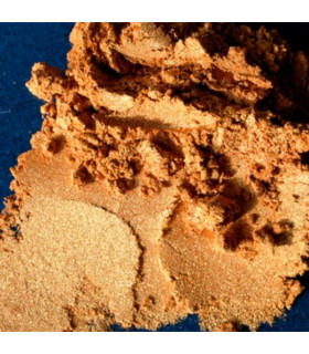 Colortricx Rich Gold 16 g