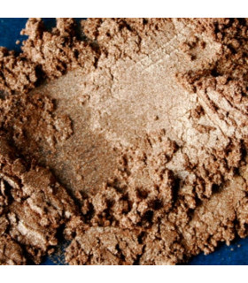 Colortricx Brons Gold 12 g