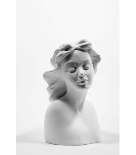 Plaster Figurines 3d - Marjani - Blanco - figuras de yeso
