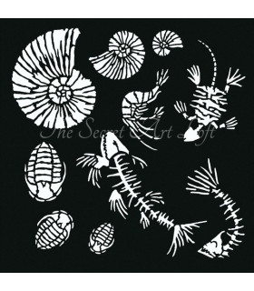 Plantilla Fósiles 30x30 - Powertex Negro - de colores