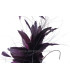 FEATHER MOUNT ROOSTER/OSTRICH/GOOSE