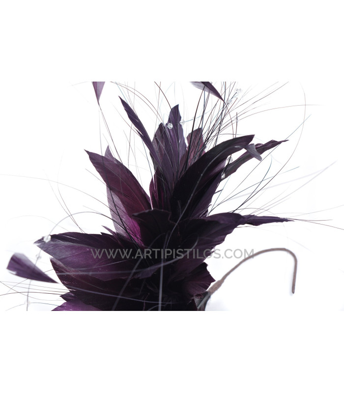 MONTAJE DE PLUMAS GALLO/AVESTRUZ QUEMADO/OCA RECORTADA