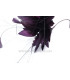 MONTAJE DE PLUMAS GALLO/AVESTRUZ QUEMADO/OCA RECORTADA
