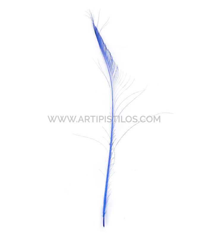 PEACOCK FEATHER SWORD 60 CMS. DECOLORED
