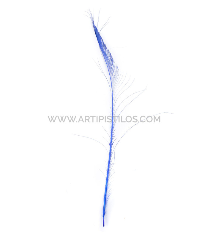 PLUMA DE PAVO REAL ESPADA 60 CMS. DECOLORADAS