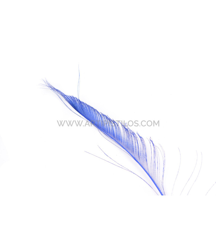 PEACOCK FEATHER SWORD 60 CMS. DECOLORED