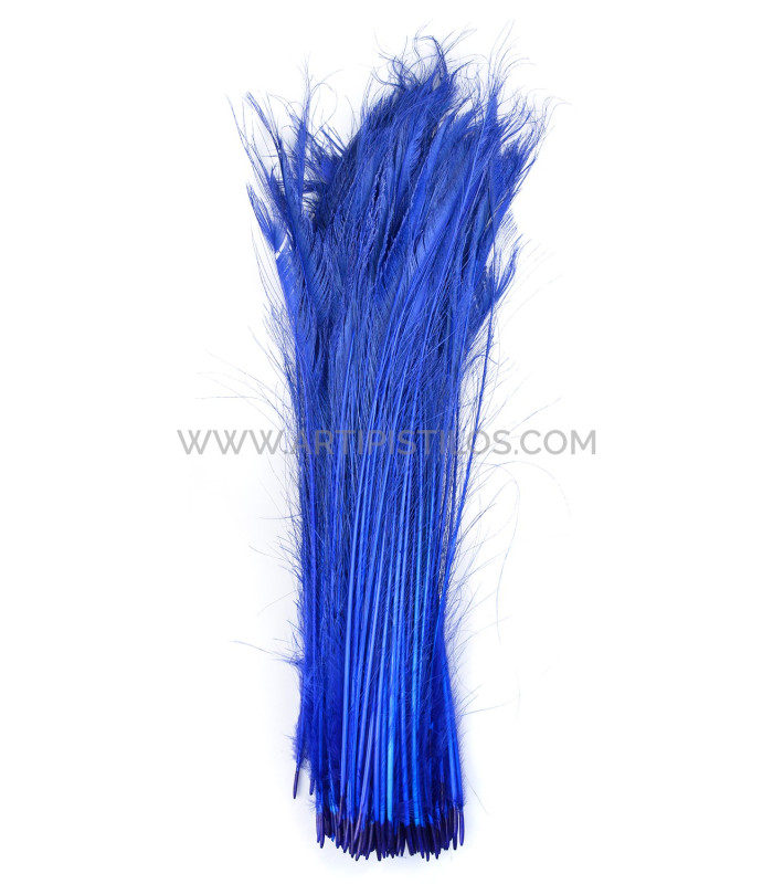 PEACOCK FEATHER SWORD 60 CMS. DECOLORED