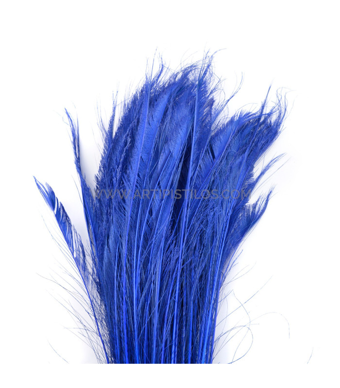 PEACOCK FEATHER SWORD 60 CMS. DECOLORED