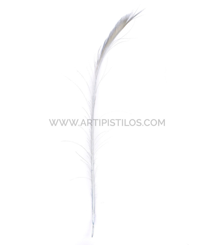 PEACOCK FEATHER SWORD 60 cm