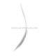 PEACOCK FEATHER SWORD 60 CMS. DECOLORED