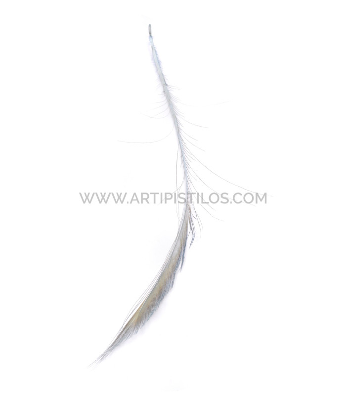 PEACOCK FEATHER SWORD 60 CMS. DECOLORED
