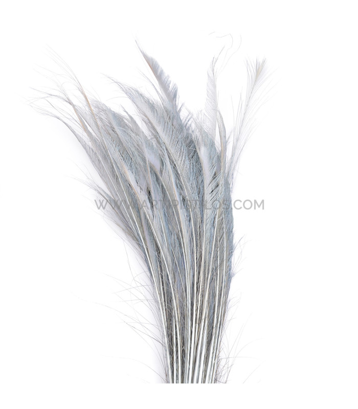 PEACOCK FEATHER SWORD 60 CMS. DECOLORED