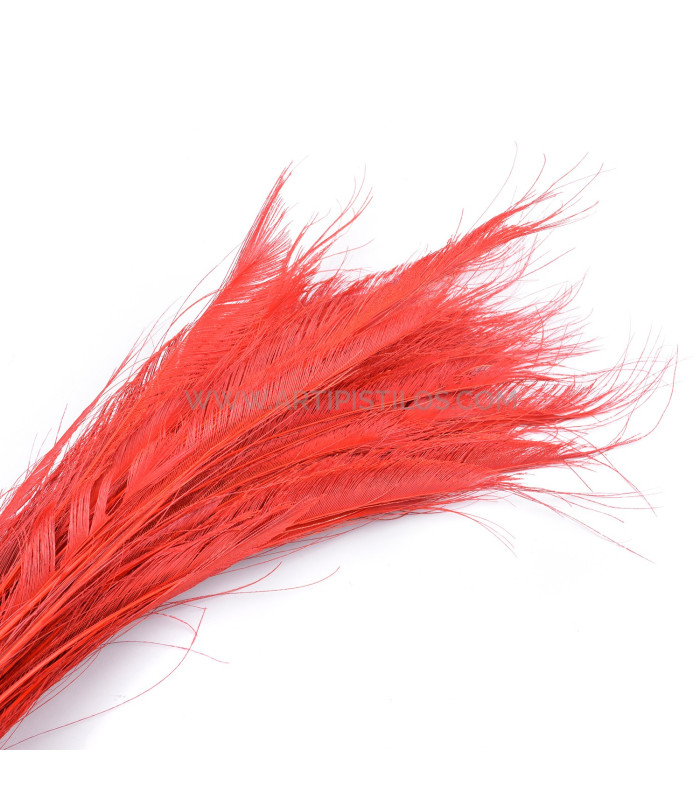 PEACOCK FEATHER SWORD 60 cm