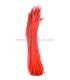 PLUMA DE PAVO REAL ESPADA 60 CMS. DECOLORADAS