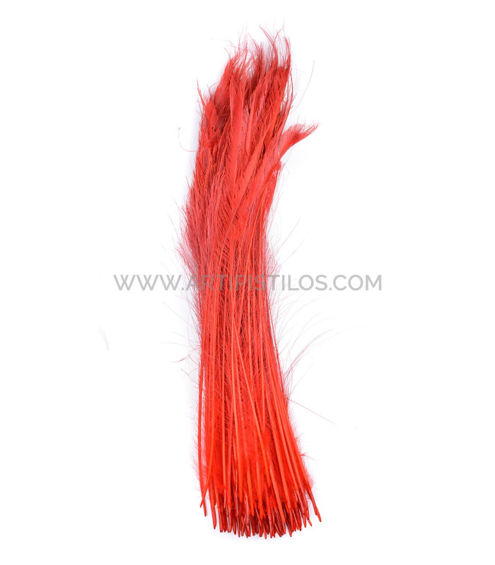 PEACOCK FEATHER SWORD 60 CMS. DECOLORED