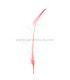 PEACOCK FEATHER SWORD 60 CMS. DECOLORED