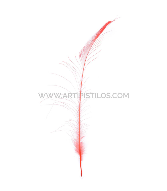 PEACOCK FEATHER SWORD 60 CMS. DECOLORED