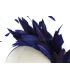 HEADPIECE WITH FEATHERS OF ROOSTER/OSTRICH/GOOSE "SOLER"