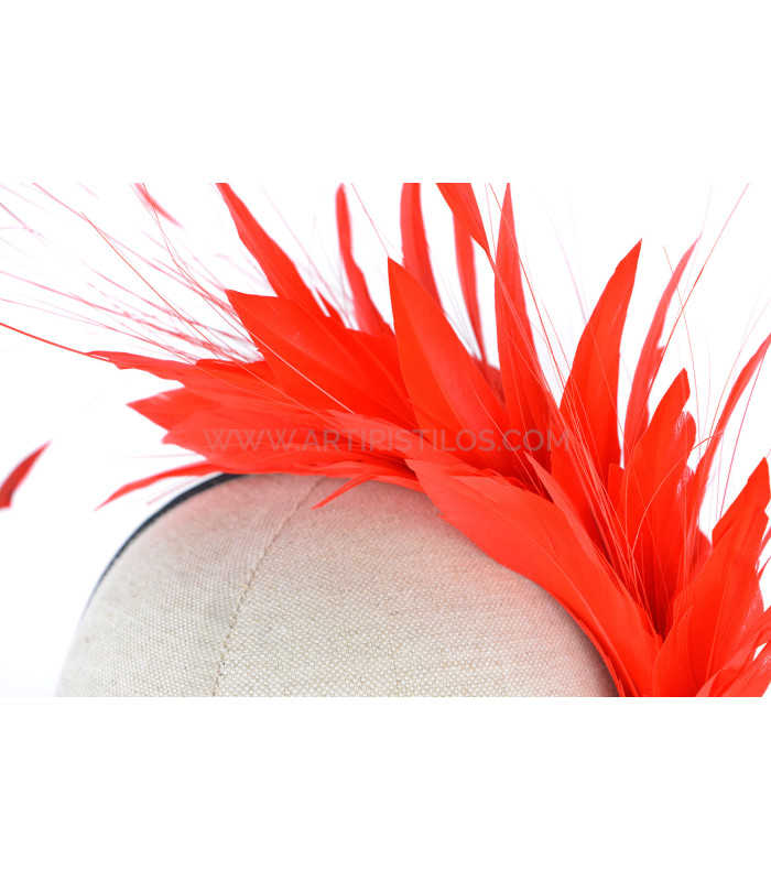 HEADPIECE WITH FEATHERS OF ROOSTER/OSTRICH/GOOSE "SOLER"