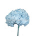 HORTENSIA PRESERVED FLOWER. BOUQUET
