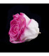 ROSA ESTABILIZADA "VERMEILLE"