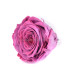 ROSA ESTABILIZADO "VERMEILLE"