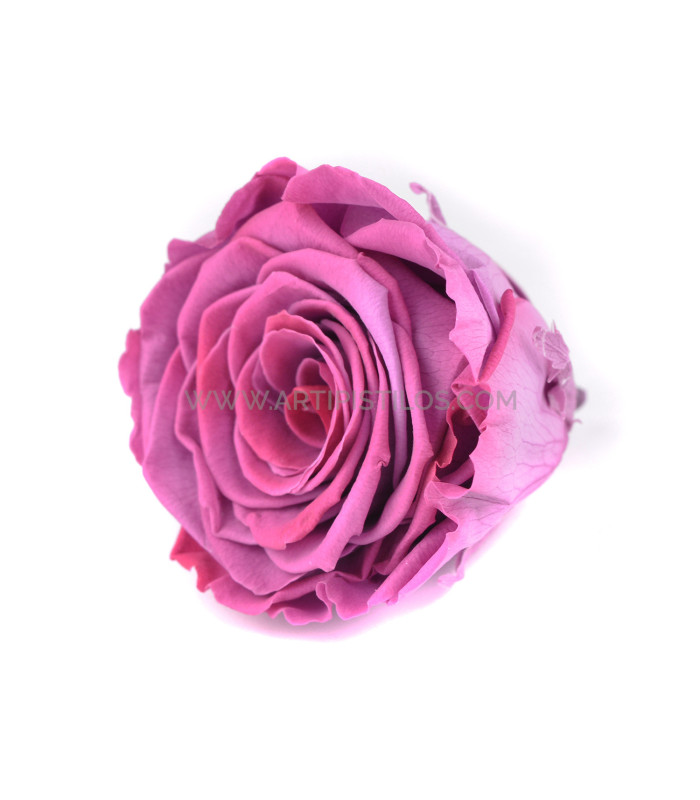 ROSA ESTABILIZADO "VERMEILLE"