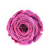 ROSA ESTABILIZADA "VERMEILLE"