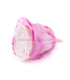 STABILIZED ROSE "VERMEILLE"