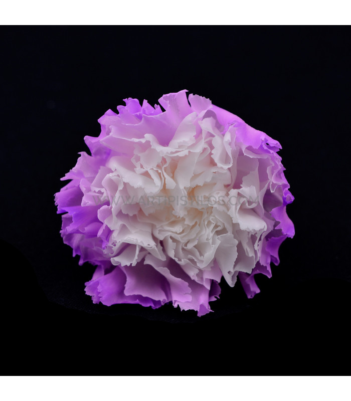PRESERVED CARNATION "BERMEJA"