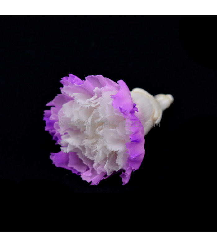 PRESERVED CARNATION "BERMEJA"