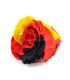 STABILIZED ROSE "GERMANY"
