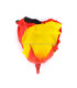 STABILIZED ROSE "GERMANY"