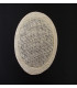 SINAMAY BASE 7 CMS.