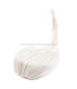 SINAMAY'S HEADDRESS "BLETCHLEY"