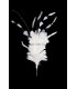 FEATHERS MOUNTS OF ROOSTER, DUCK AND GOOSE