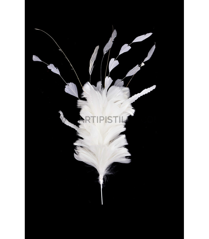 FEATHERS MOUNTS OF ROOSTER, DUCK AND GOOSE