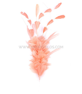 Feathers Mounts Of Rooster, Duck And Goose - hats