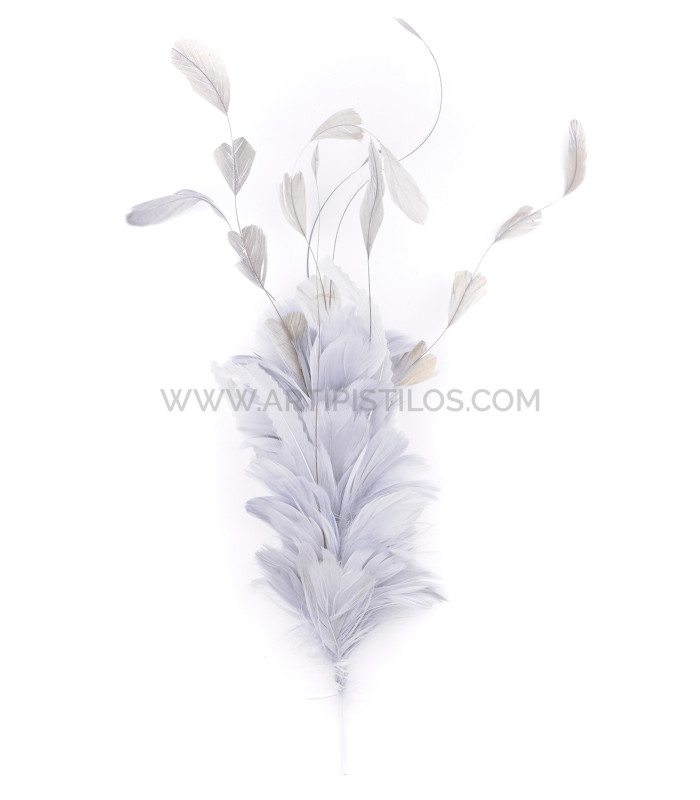 MONTAJE DE PLUMAS GALLO, ÁNADE Y OCA